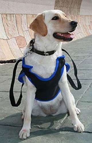 WALKABOUT 歩行補助ハーネス 前脚用 Lサイズ 大型犬用 リフトハーネス Amazon | WalkAbout 前肢用 歩行補助ハーネス 大型犬用 L ブラック